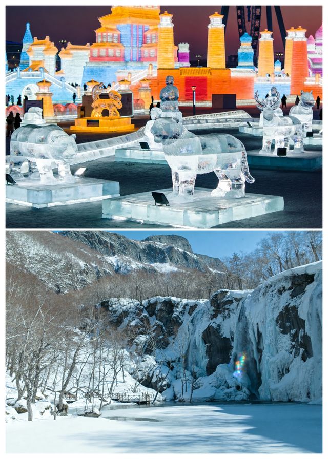 哈爾濱旅遊包車精選吃住行遊玩攻略