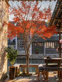 我願稱它為江南水鄉的頂配版,沒有之一。