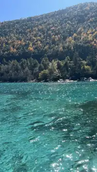 雲南7天6晚solotrip repo