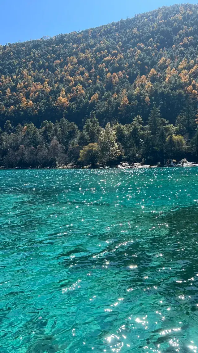 雲南7天6晚solotrip repo 雲南7天6晚solotrip repo