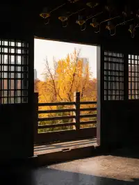 去逍遙津務必上逍遙閣中式秋景太絕了