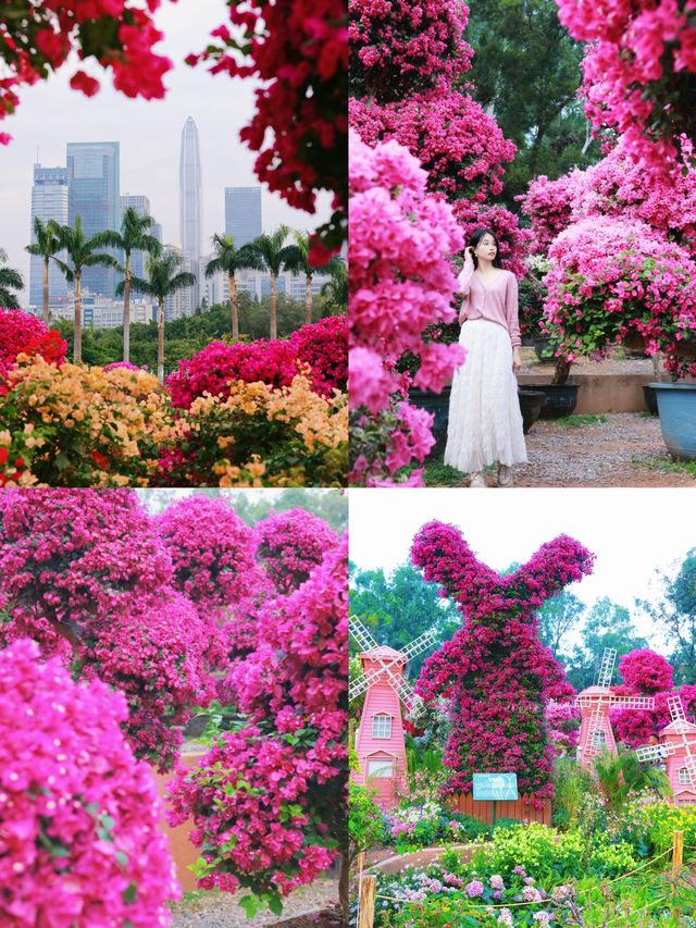 這裡風景獨好 這裡風景獨好