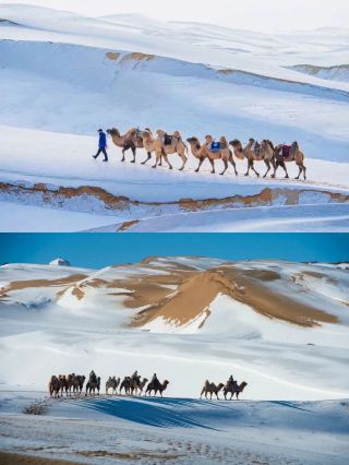 爾濱對不起，是呼和浩特太有性價比