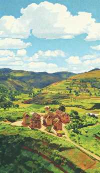 遇見800歲巨樹馬達加斯加猴麵包樹大道攻略《像素版》