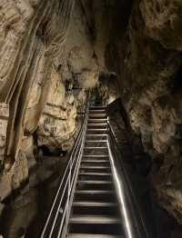 攀越絕壁 · 洞見神鷹 | 九里溝秘徑探幽指南