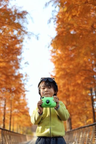 The lesser-known redwood forest in Nanjing has turned brilliantly red, stunning me