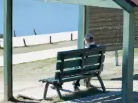 廣東-湖南極限兩天一夜