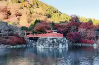 大阪勝尾寺夜間點燈絕美!跟白天完全不同