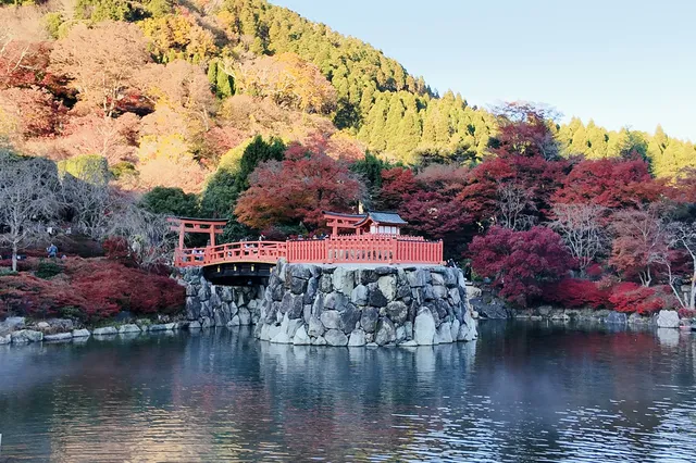 大阪勝尾寺夜間點燈絕美!跟白天完全不同 大阪勝尾寺夜間點燈絕美!跟白天完全不同