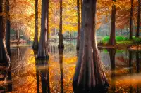 連夜來到南京只為拍到這幾張