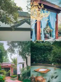 帶父母出遊,這裡成了他們的“誇誇群”