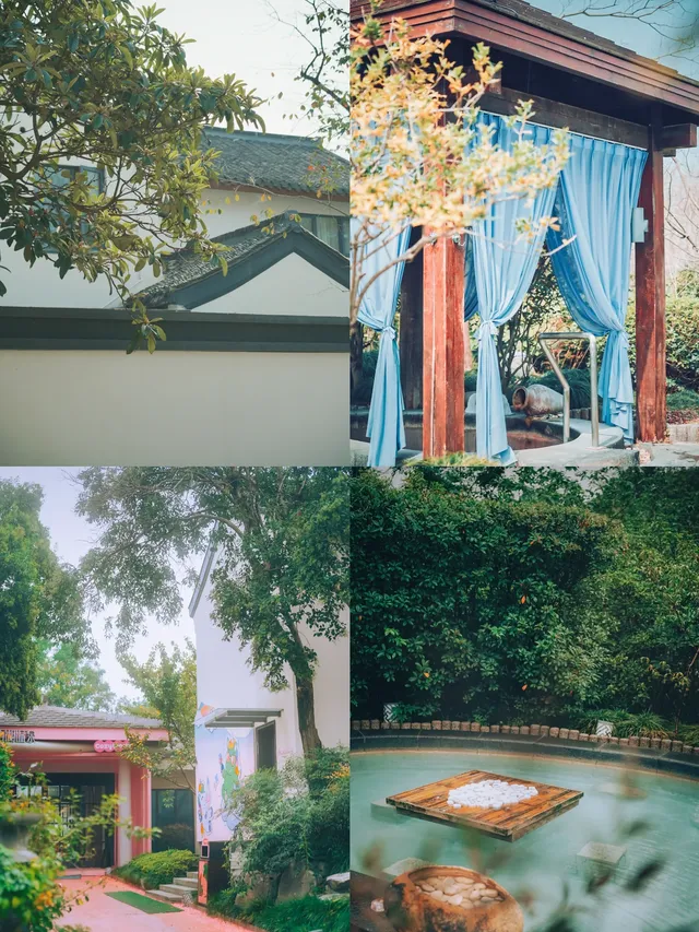 帶父母出遊,這裡成了他們的“誇誇群” 帶父母出遊,這裡成了他們的“誇誇群”