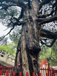 暑假,與兒子的北京之行(4)