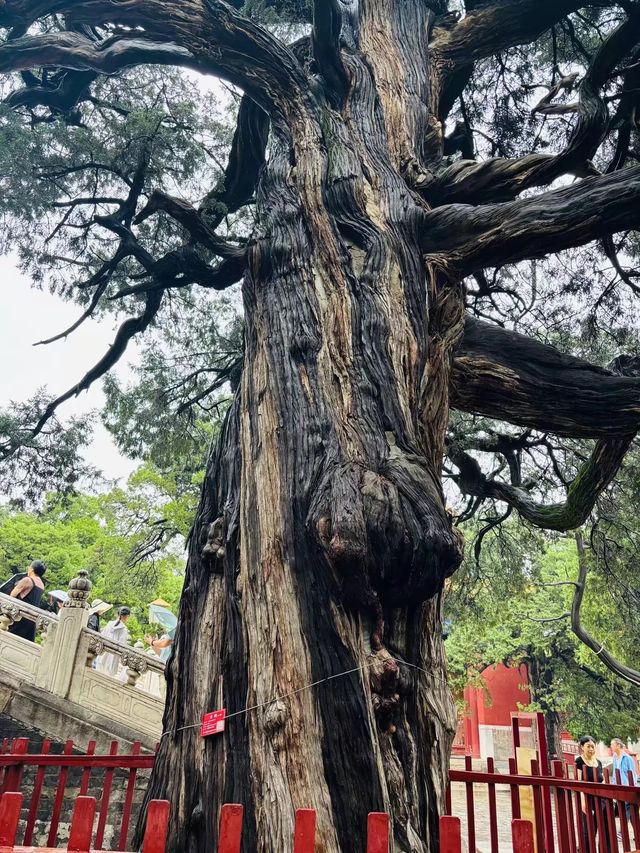 暑假,與兒子的北京之行(4) 暑假,與兒子的北京之行(4)