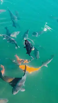 濟南五龍潭I live 這裡的泉水會“發光”