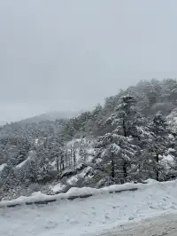 神農架冬日童話|闖入南國最純淨的雪國