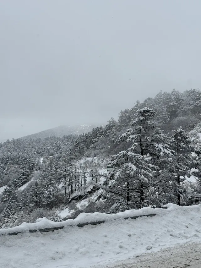 神農架冬日童話|闖入南國最純淨的雪國 神農架冬日童話|闖入南國最純淨的雪國