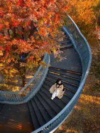 被問瘋的上海楓葉旋梯錯過真的等一年…