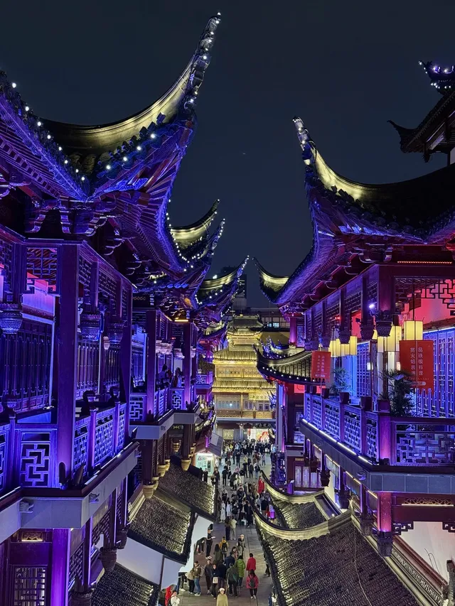 12.2豫園燈光秀live一眼千年的江南綺夢