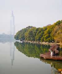 冬日玄武湖的浪漫太絕了!陽光灑滿湖面美到窒息