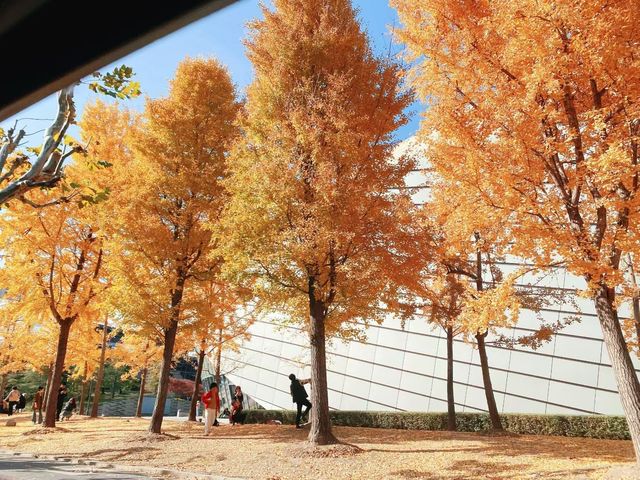 上海環保Citywalk上線,44條景觀道成秋冬限定風景線 上海環保Citywalk上線,44條景觀道成秋冬限定風景線