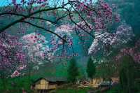 【綿陽3天2晚】人均800元,鮮鎖“科技+古韻”雙面城!