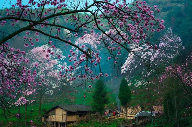 【綿陽3天2晚】人均800元,鮮鎖“科技+古韻”雙面城! 【綿陽3天2晚】人均800元,鮮鎖“科技+古韻”雙面城!