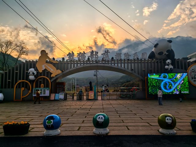 安吉熊貓部落|省心遛娃天堂!跟熊貓一起撒歡吧! 安吉熊貓部落|省心遛娃天堂!跟熊貓一起撒歡吧!