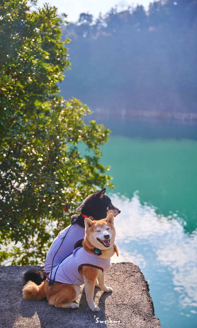 郴州資興|在森林裡遇見了東江湖晨霧 郴州資興|在森林裡遇見了東江湖晨霧