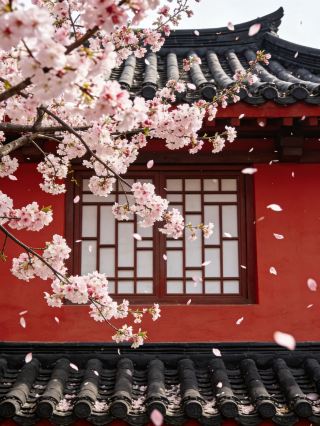 [Xi'an Area] Zhouyuan Spring Limited-Time Event: Traditional Chinese Performance + Fish Lantern Parade