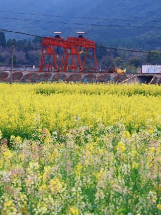 คู่มือร้านธูปมรดกโลก | ชมงานนิทรรศการภาพวาดสีน้ำมันสีทองสุดพิเศษในช่วงฤดูใบไม้ผลิ