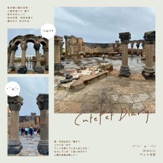 Zvartnots Cathedral Ruins Tour Guide