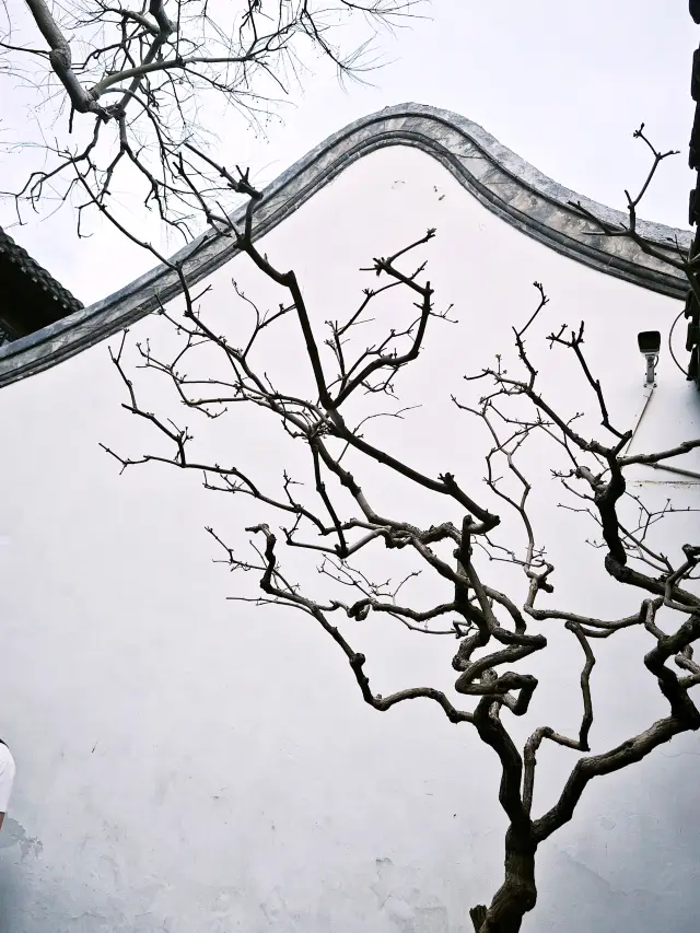 Ge Garden in Yangzhou | A One-Day Tour to Enjoy the Pinnacle of Jiangnan Gardens Through All Four Seasons