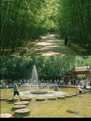 This bamboo forest is as beautiful as a painting