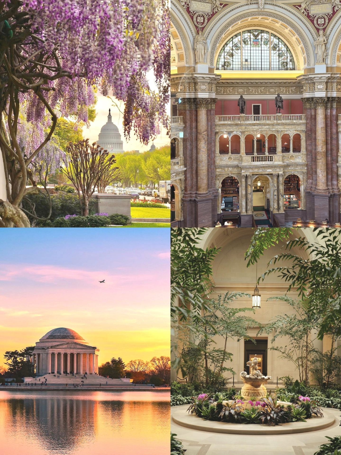 Been to Washington three times. My advice is… (with photo spots) 