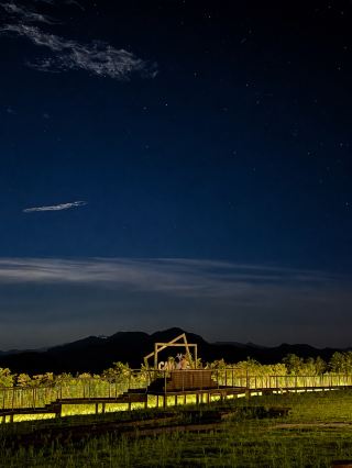 流星群を見るために、山の中に泊まりました