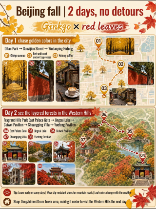 2-Day Beijing Autumn Trip: A No-Hassle Guide to Ginkgo and Red Leaves