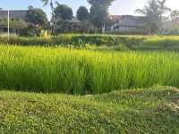 Positive Stay with Peaceful Relaxation