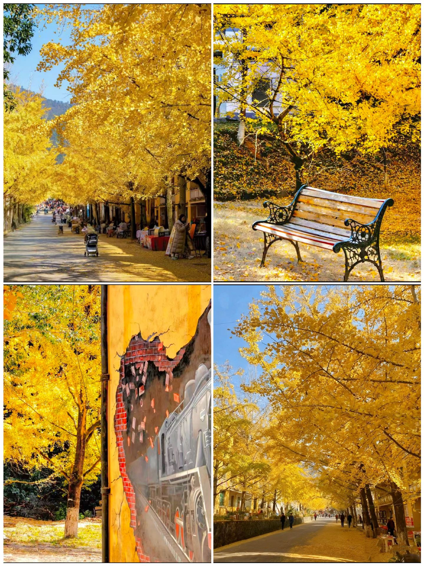 Back from Shaoguan: 4 must-visit hidden gems for autumn (Oct–Nov)