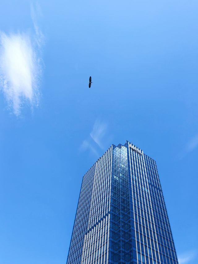 昌平橋頭仰望猛禽與電車:在萬世橋的百年遺跡與秋葉原間漫遊 昌平橋頭仰望猛禽與電車:在萬世橋的百年遺跡與秋葉原間漫遊