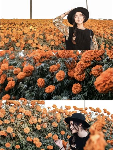 Who knew SD had flower fields beyond spring? The autumn flower fields have such a great vibe.