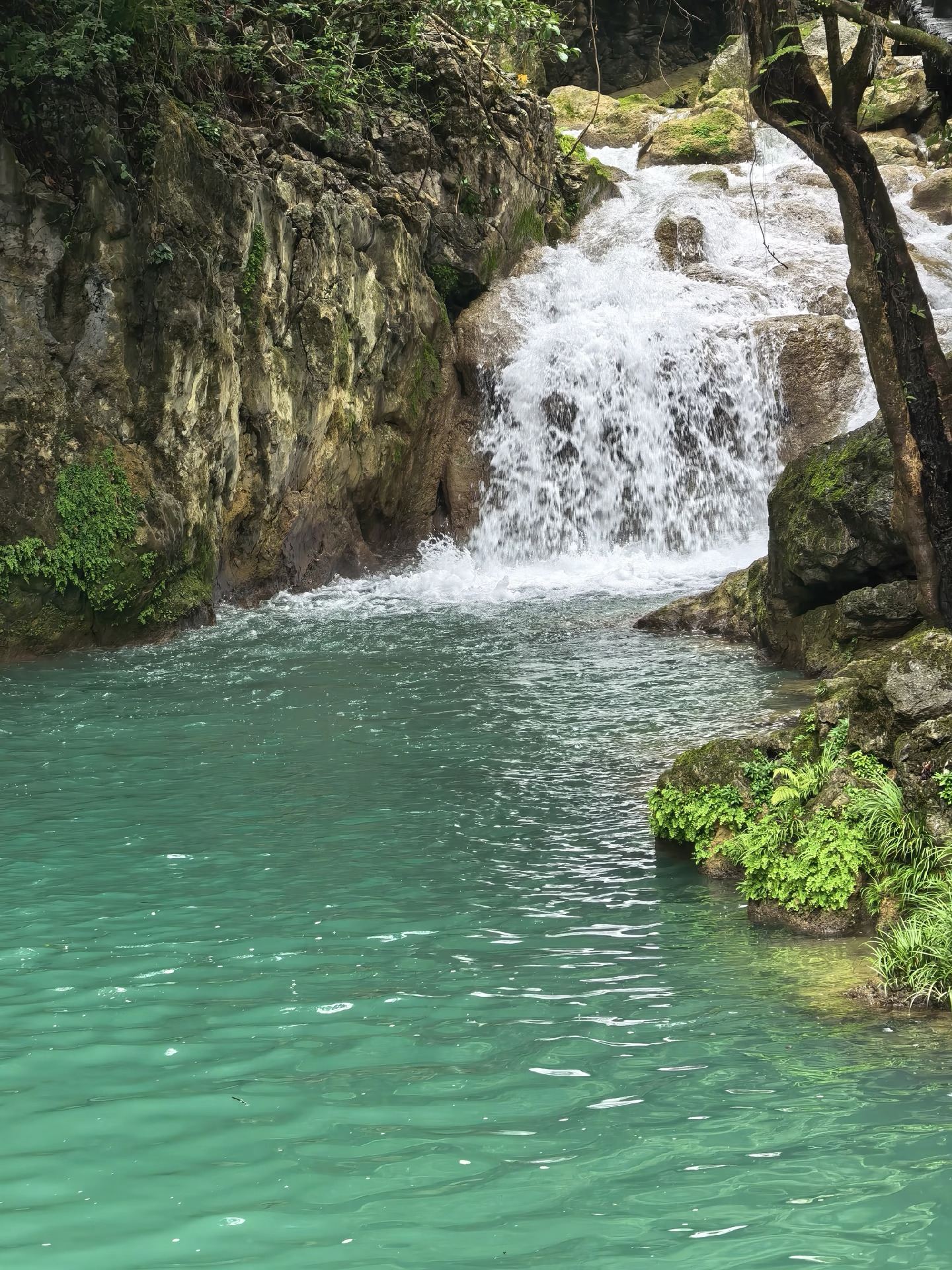 5-Day Travel Guide to Qiannan and Beyond: Avoid Pitfalls with Group Tours