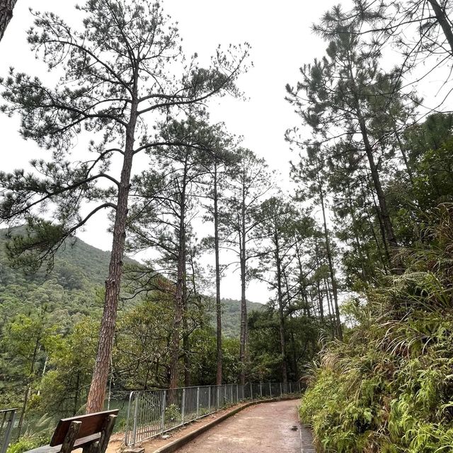 春日郊遊流水響❤️超令紅葉🍁😗情侶💑郊遊必去