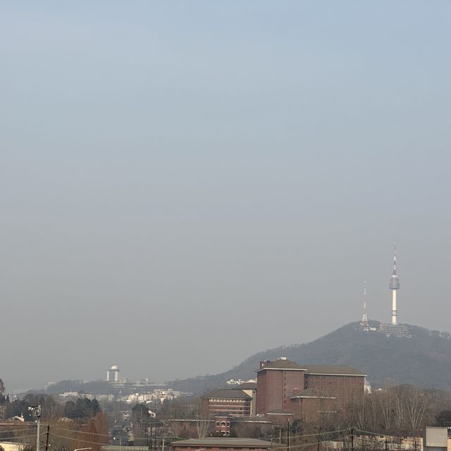 사유의 방이 있는 국립중앙박물관💎