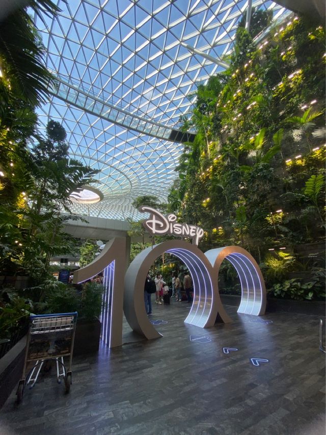 Forest in the city