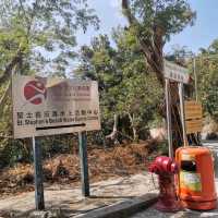秘密泳灘