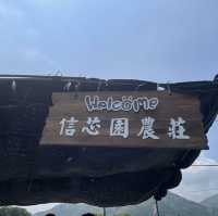 春夏季賞花好去處
