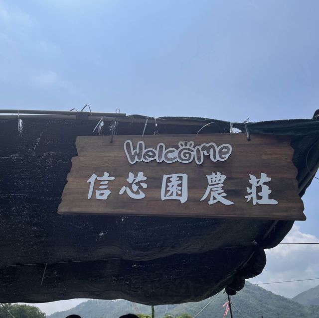 春夏季賞花好去處
