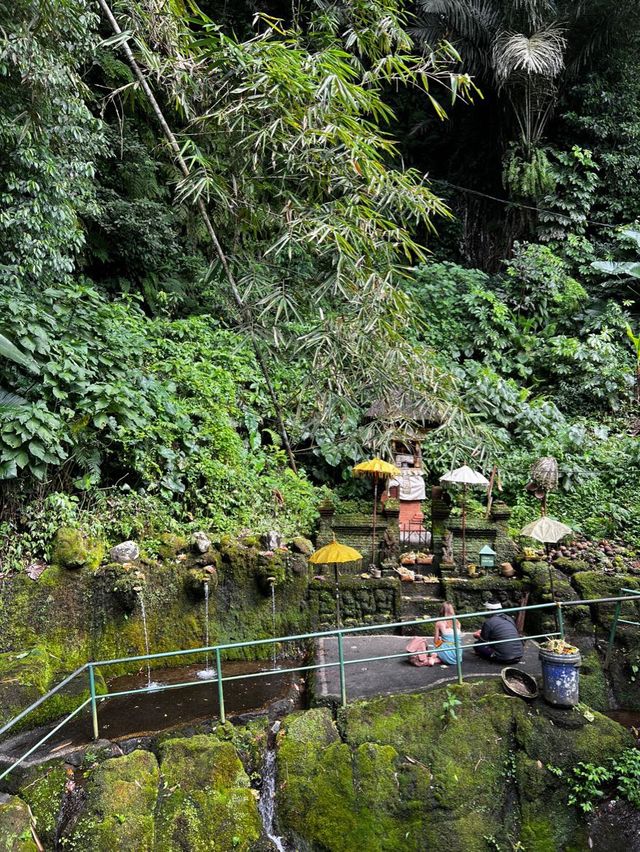 Purify Yourself at Sebatu Holy Water Spring