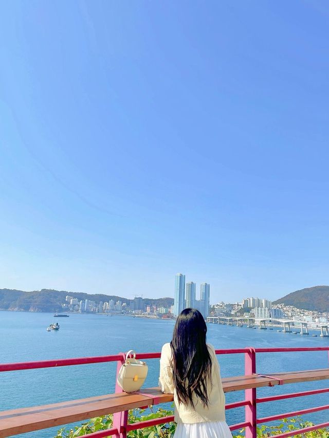 오션뷰가 예쁜 이색 동굴 포토스팟!! 따라만 오라규!